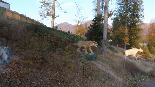 Ледниковый Период. Парк динозавров на высоте 1389 м. Газпром. Лаура. Приют Псехако..mp4 смотреть онлайн