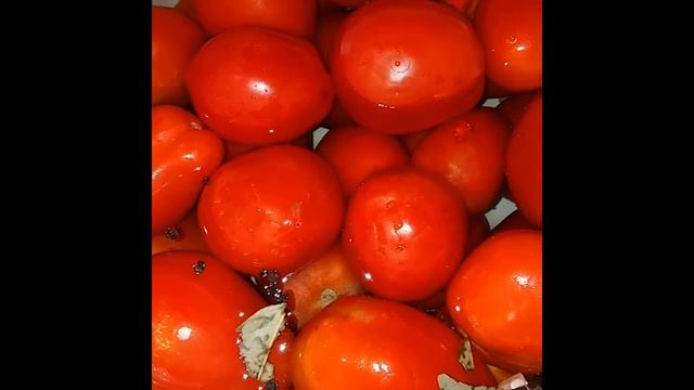 Засолка помидоров в кастрюле! смотреть онлайн