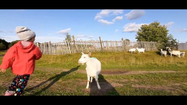 Племяшки, ну и не много про пчел смотреть онлайн