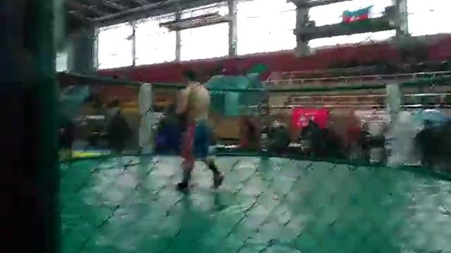 Али.Алхаслы Ченпеонат в мира по мма 6.112016 смотреть онлайн