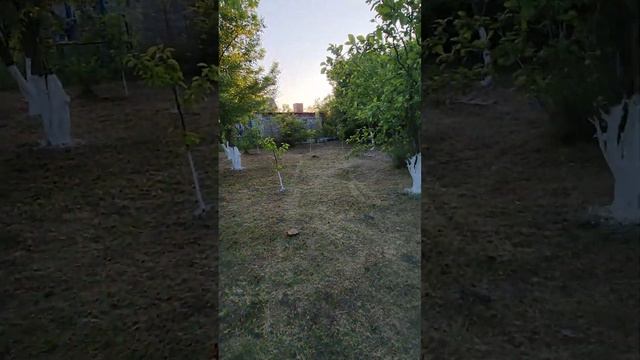 Дача 18.05.2023. п. Знаменский. 6 соток ПРОДАЮ! 1,450🍋 смотреть онлайн