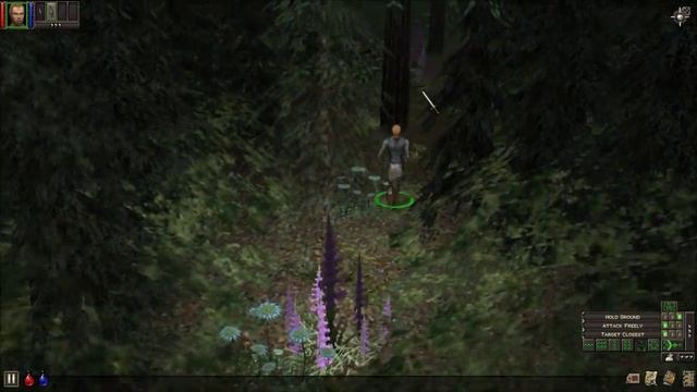Dungeon Siege: Lands Of Hyperborea - Part 2, The Other Prisoners
