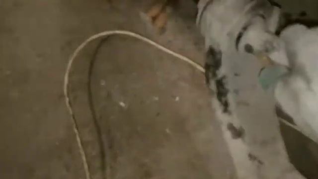 Замена рычага Nissan Atlas f23 смотреть онлайн