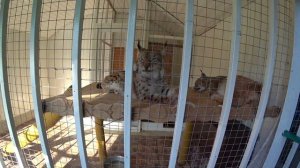 Зоопарк в Сочи на территории санатория Октябрьский