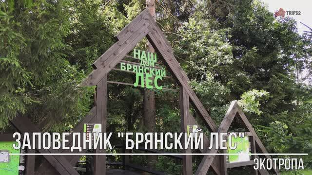 Заповедник "Брянский лес" - экотропа "Наш дом Брянский лес".mp4 смотреть онлайн