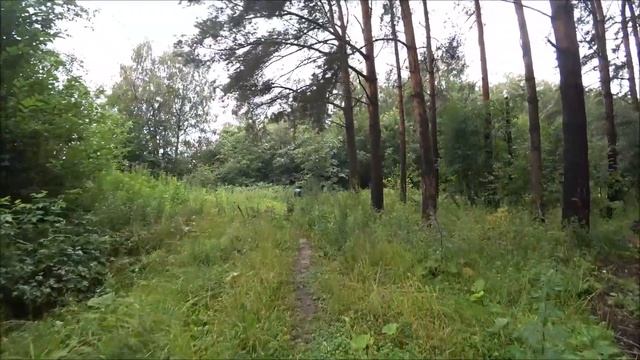 55. Спорткомплекс в моей деревне. Прошу духа леса убрать комаров и дать нам грибов. смотреть онлайн