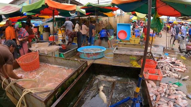 The Largest Wholesale Fish Market in Cambodia's capital, Phnom Penh смотреть онлайн