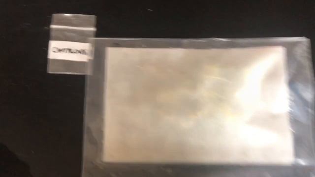 Growing Watermelon And Cantaloupe From Seed смотреть онлайн