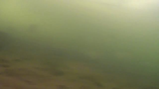 Есть трофеи! А также: голавль, окунь, ерш, сопа, густера, ... Подводная съемка на реке Ай. смотреть онлайн