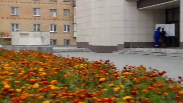 город Гагарин.На выборах ДПС прессует водил.2015. смотреть онлайн