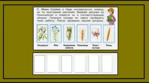 Окружающий мир  рабочая тетрадь 3 класс страницы 32-34. Растениеводство