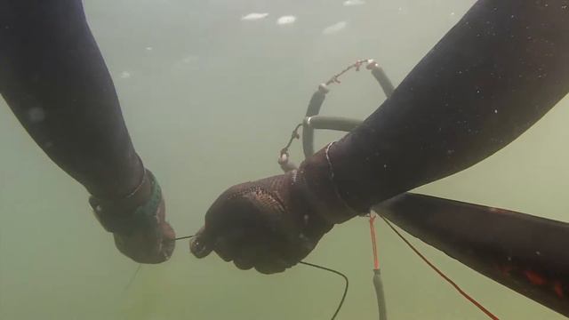 Chasse sous marine 2013 / Etang de Berre смотреть онлайн