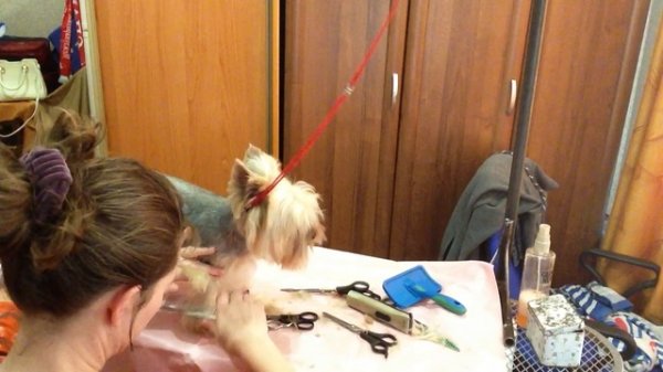 trim.E6CDABEC-753E-46B9-B397-F00401593CFC