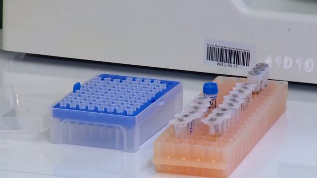 Ямальский СПИД-Центр отметил 25-летний юбилей смотреть онлайн