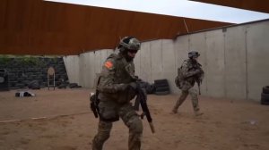 Чем винтовка отличается от карабина