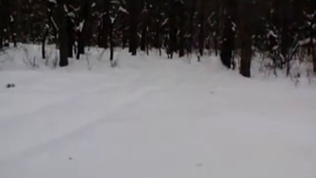 прокладка лыжни