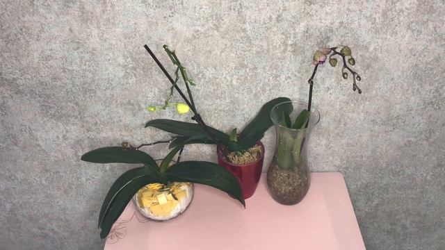 Обзор+тестирование микроскопа с AliExpress#9 смотреть онлайн