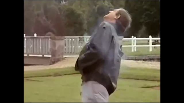 фильм Профессионал