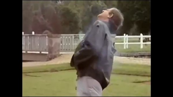 фильм Профессионал