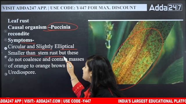 IBPS AFO 2022 | IBPS AFO Mains Classes | Important Diseases of Wheat смотреть онлайн