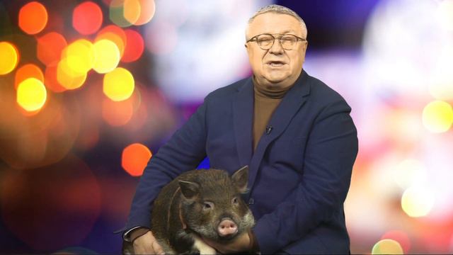 Новогоднее поздравление. Сергей Писарев смотреть онлайн