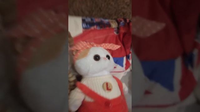 коты не могут поделить кота ???♀️ смотреть онлайн