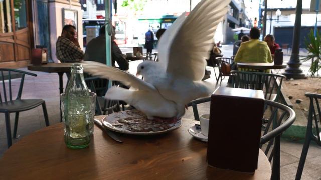 Alicante, Spain October 2019 4K