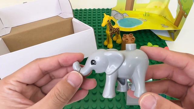 《LEGO Duplo》開來玩一下，10971非洲野生動物Wild Animials Of Africa，積木組裝遊戲，