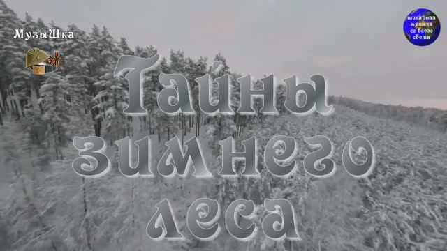 ♫ ТАЙНЫ ЗИМНЕГО ЛЕСА !!! ОСТОРОЖНО, НЕ ВСПУГНИ !!! смотреть онлайн