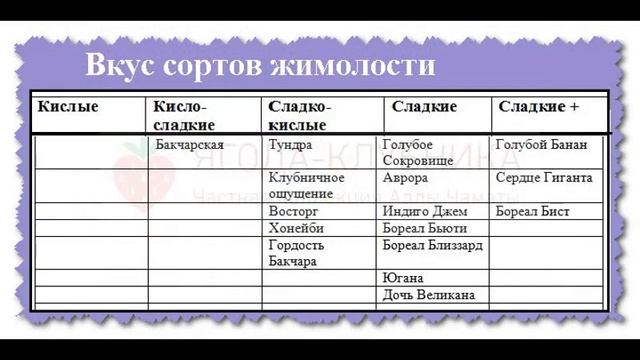 Новые американские сорта жимолости Голубой Банан,Голубое Сокровище,Сердце Гиганта,Клубничная Сенсац смотреть онлайн
