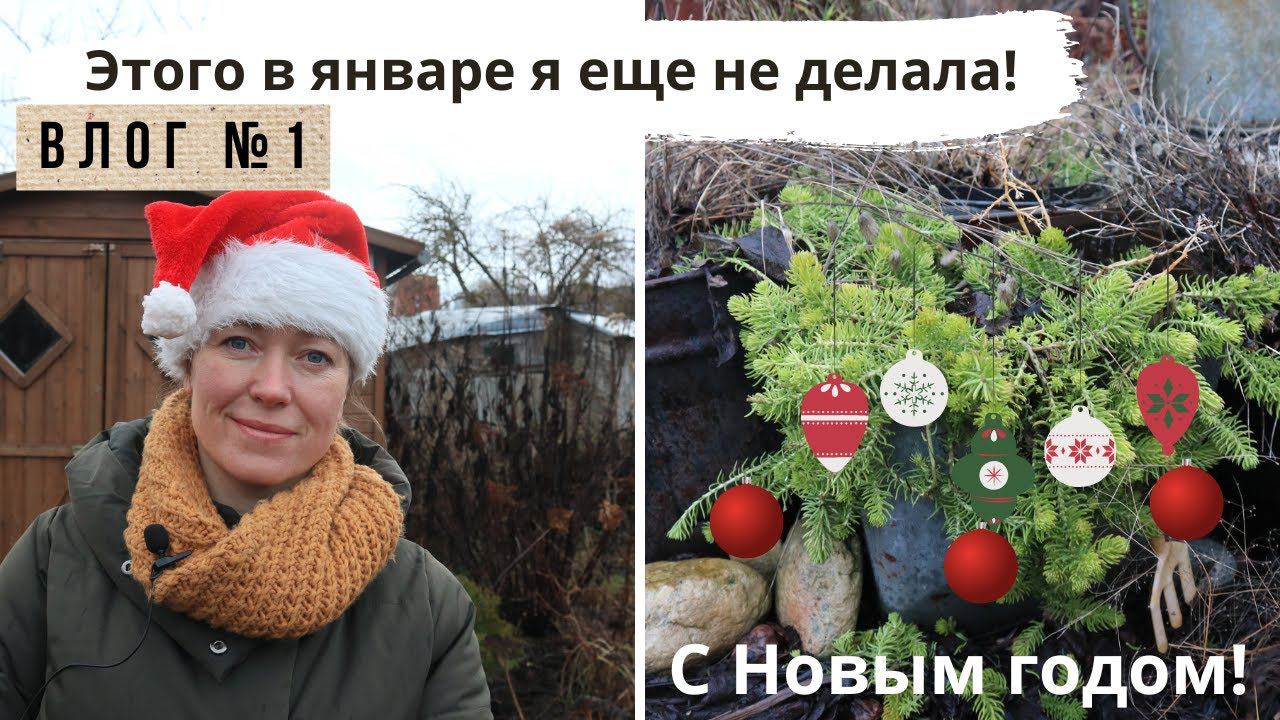 Год начался с неожиданностей! Влог из сада и огорода в аномальном январе смотреть онлайн