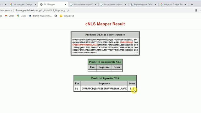 Nuclear Localization Signal | In Silico Nuclear Localization Signal Prediction | NLS Mapper| смотреть онлайн