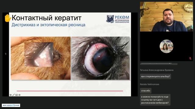 Заболевания роговицы протекающие с васкуляризацией смотреть онлайн