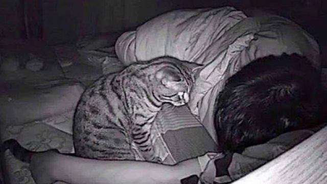 Мужчина установил видеокамеру, чтобы понять что с ним творится ночью. И вот что обнаружил смотреть онлайн