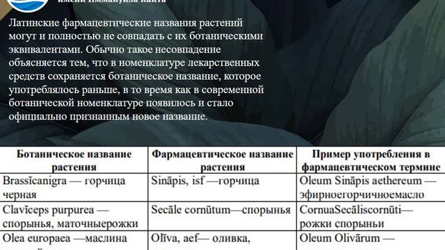 Ботаническая номенклатура смотреть онлайн