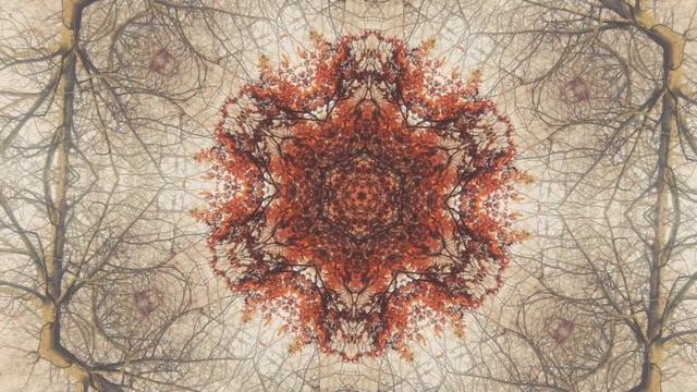 Волшебное звучание Ханга | Короткая медитация для перезагрузки | Медитация в движении смотреть онлайн