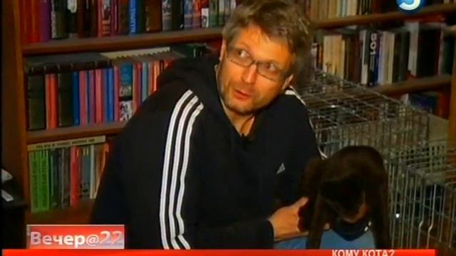 Лапса Лато кому кота 11 10 2013 смотреть онлайн