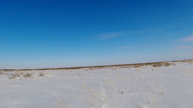 охота на зайца " удачный день" смотреть онлайн