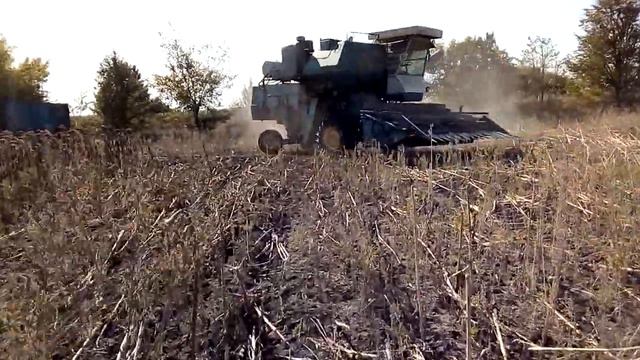 Друг косит подсолнух. смотреть онлайн