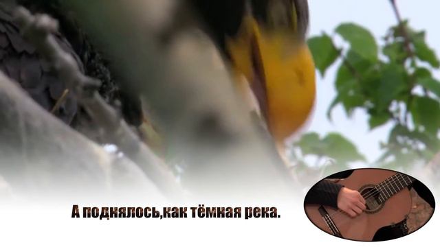 О СКВЕРНОМ И СВЯТОМ смотреть онлайн