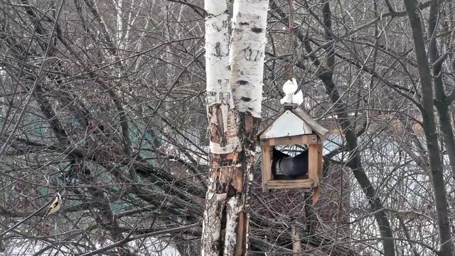 Что можно увидеть на нашей дамбе смотреть онлайн