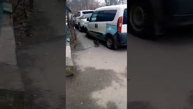 Подниматель настроения смотреть онлайн