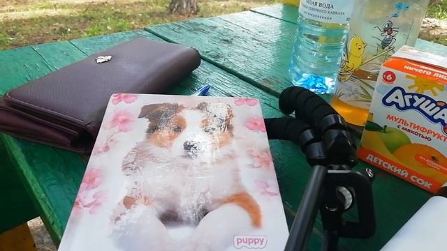 VLOG:Как прожить на 2000 в неделю \\ Закупка продуктов \\ Точу ножи \\ Куда девать остатки пряжи смотреть онлайн