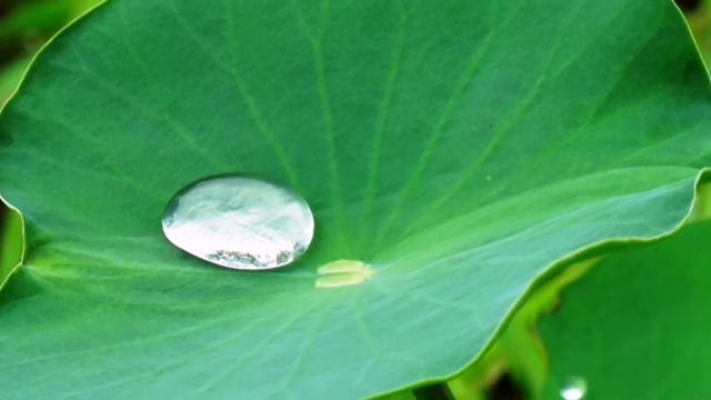 Индийская сказка. На кого похож слон? смотреть онлайн