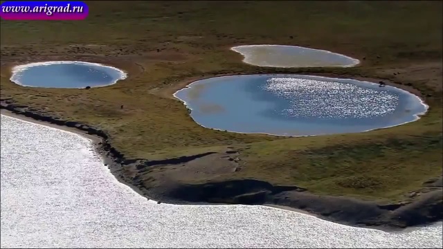 Россия-Оплот Светлых Сил REM 2019 HD p25 смотреть онлайн