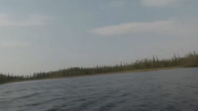 Очарован этим лесным озером! смотреть онлайн