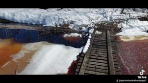 РАЗВЕДКА ПЕРЕД ОХОТОЙ НА ГУСЯ 2024. СКРАДКИ ГОТОВЫ ГУСЯ ВИДЕЛИ .