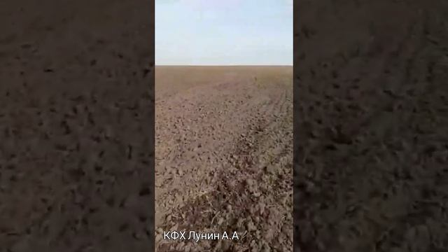 Обзор новых сеялок СЗМ-6. И выезд на посевную ячменя 23.04.22. смотреть онлайн