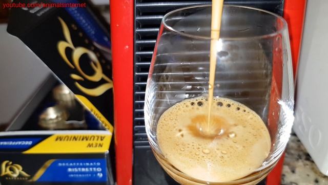 L'or Ristretto Decaffeinato coffee capsules on a Nespresso Delonghi Essenza Mini machine. 4K UHD смотреть онлайн