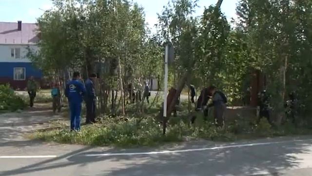 Экологический субботник 06 08 2020 смотреть онлайн